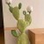 Cactus Напольный светильник из смолы в современном стиле